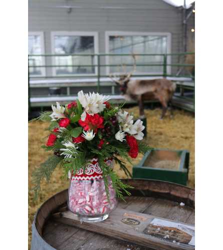 Peppermint Candy Arrangements