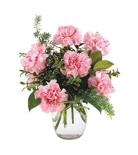 Pretty pink Carnations