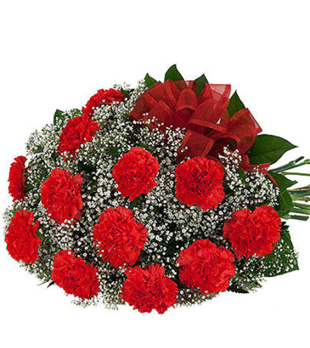 Twelve Red Carnations bouquet