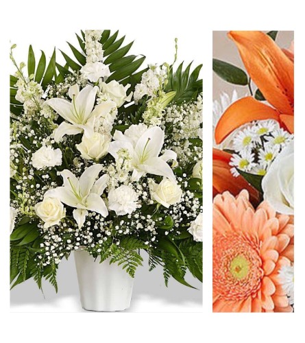 Peach/Orange Mix-Traditional Sympathy