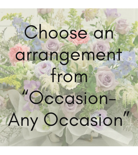 Any Ocasions
