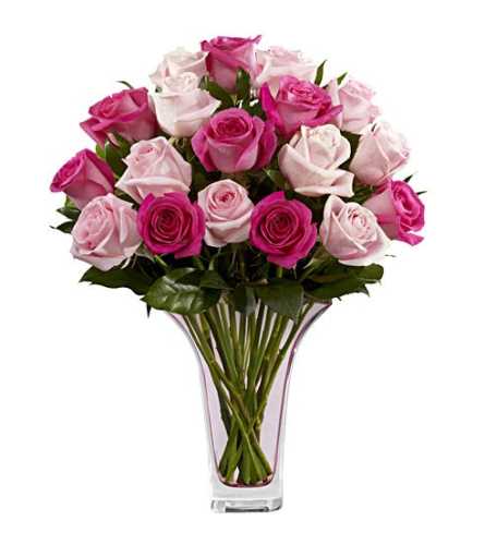 Pretty in Pink Roses