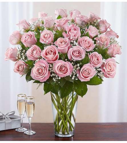 Long Stem Pink Roses