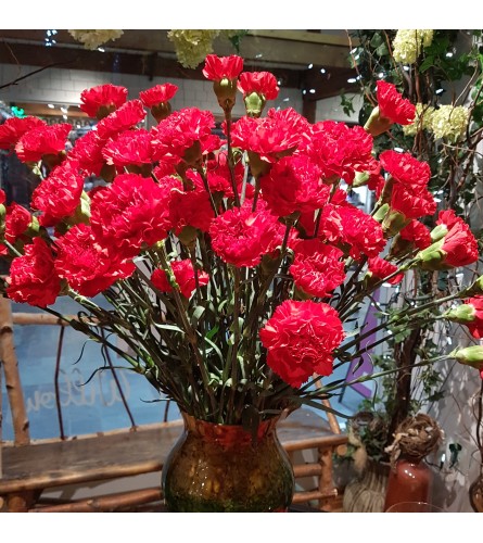 FIELDS OF CARNATIONS