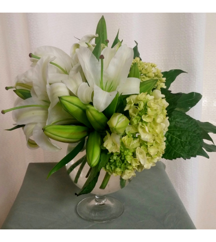 White Lily