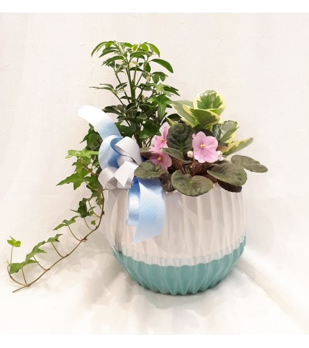 POT26
