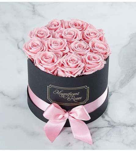 Fresh Boxed Pink Roses