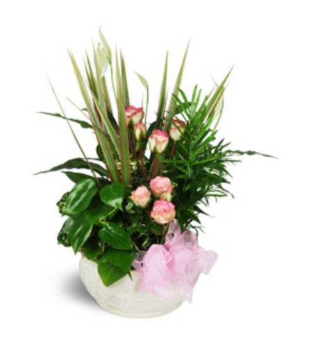 sweet memories planter