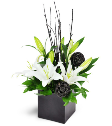 White Lily Cube