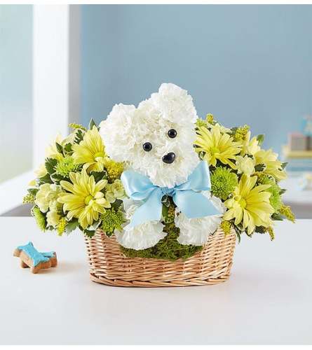 It’s a-DOG-able® Boy or Girl