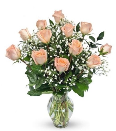 1 Dozen Peach Roses
