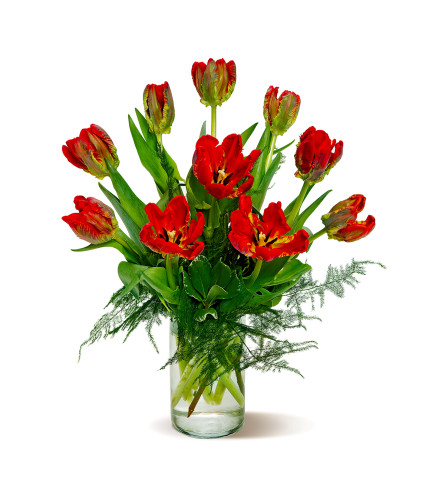 Sadie-Rococo Parrot Tulips