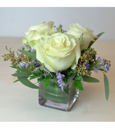3 White Roses in a small cube