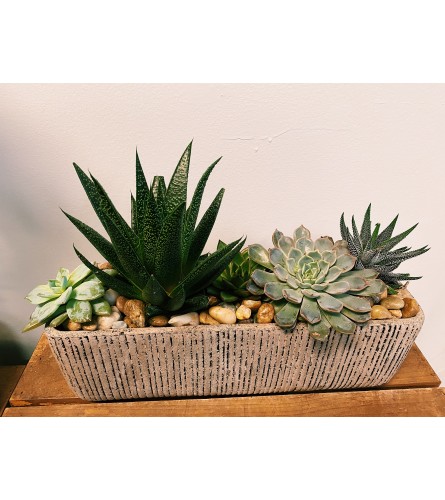 Rectangular Succulent Planter