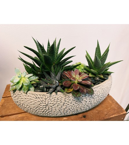 Rustic Chic Succulent Planter
