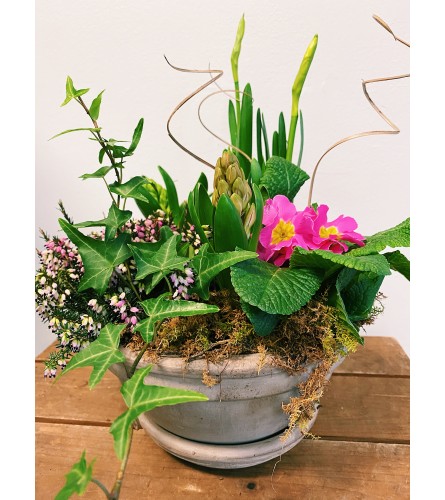 Beautiful Blooming Bulb Planter (Small)