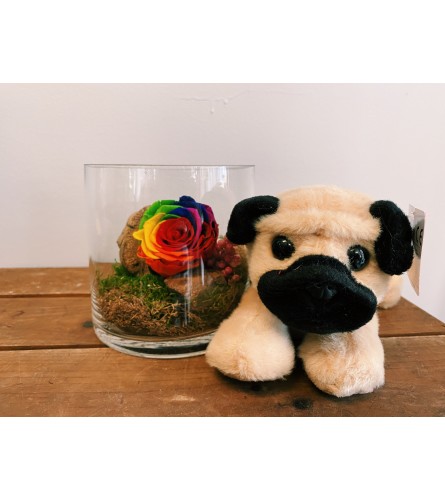 Perfectly Preserved Rose & (Small) Plush Pal Bundle
