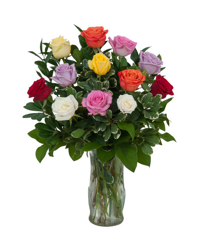 1 Dozen Roses Assorted