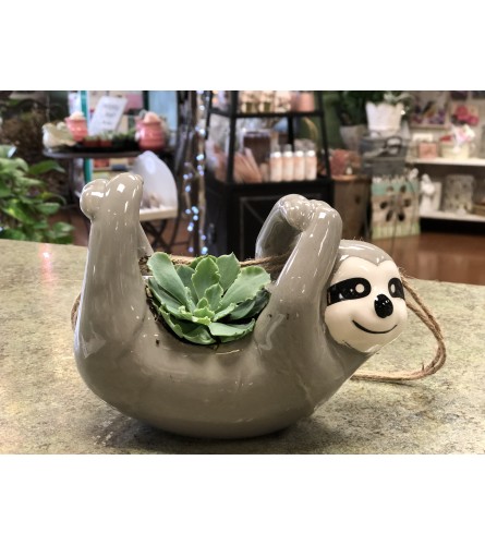 Succulent Sloth Planter