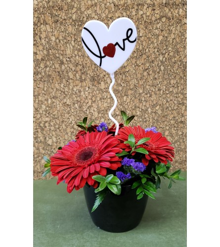 Gerbera's with Love