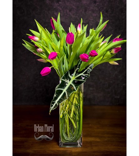 20 red tulips in a vase