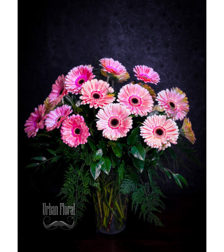 20 pink gerberas in a vase
