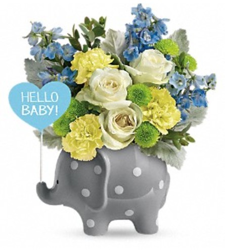 Teleflora's Hello Baby - Blue