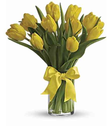 KNOWLES SUNNY YELLOW TULIPS