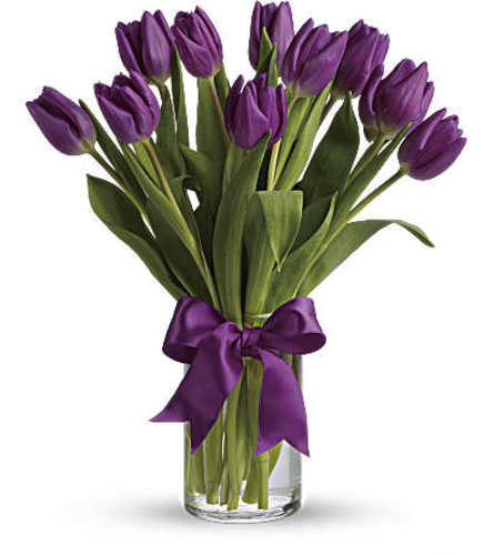 KNOWLES PASSIONATE PURPLE TULIPS
