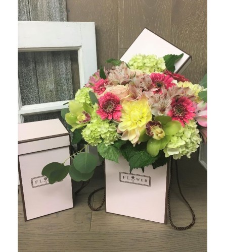 Spring Box