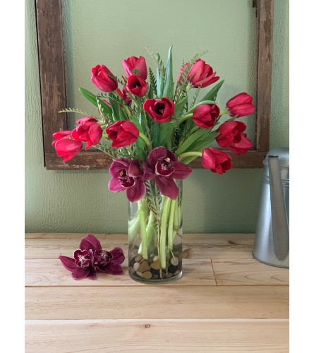 Cherry Tulip