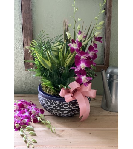Ceramic Dish Garden