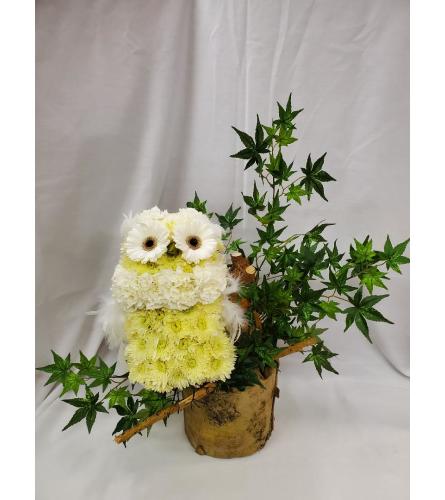 Floral Owl