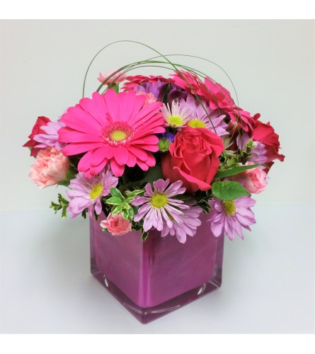 All in for Pink Romance