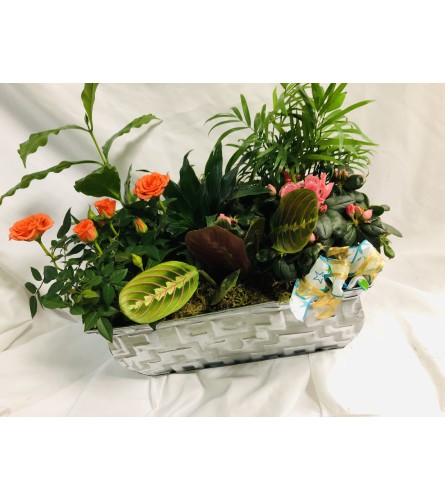 Basket of Friendship