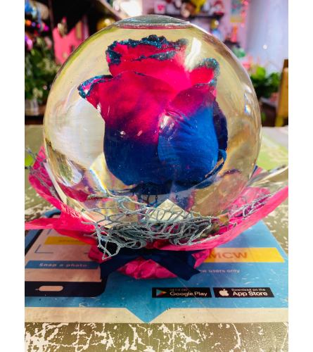 Rose In Glass Globe