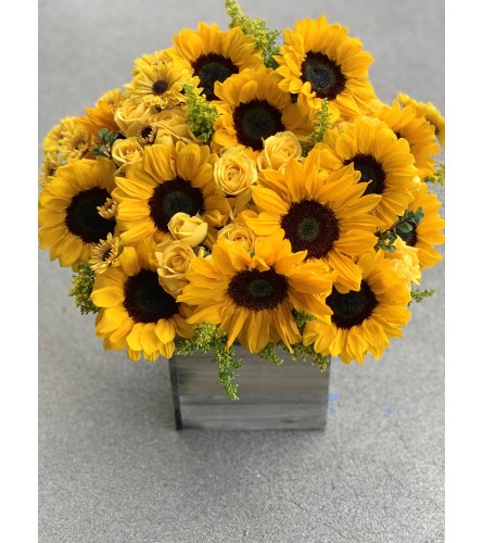 Sunshine Arrangement