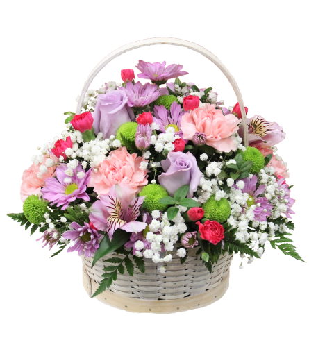 Talisman's Spring in Bloom