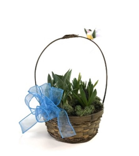 Spring Bulb Planter (B)