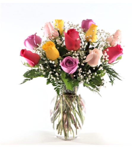 Dozen Coloured Roses