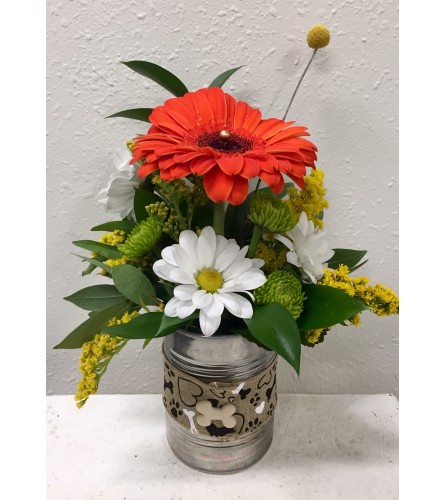 Dog Gone Cute Gerbera
