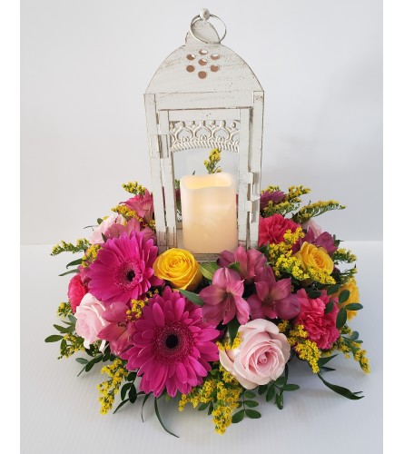 Lantern arrangement Pinks