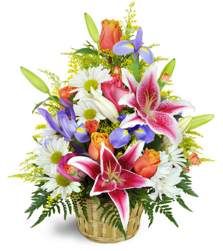 The Stargazer Blessings Basket