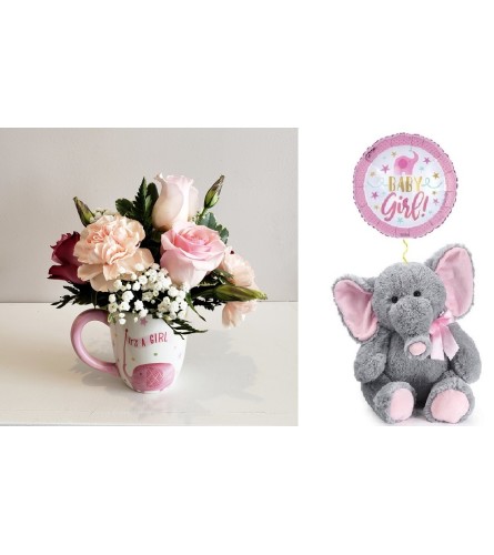 Baby Girl-Mug