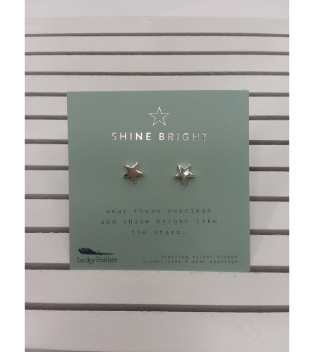 Earrings - Star