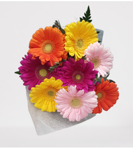 happy gerbera. An arrangement by Harriet's Flower and Gift Shop.