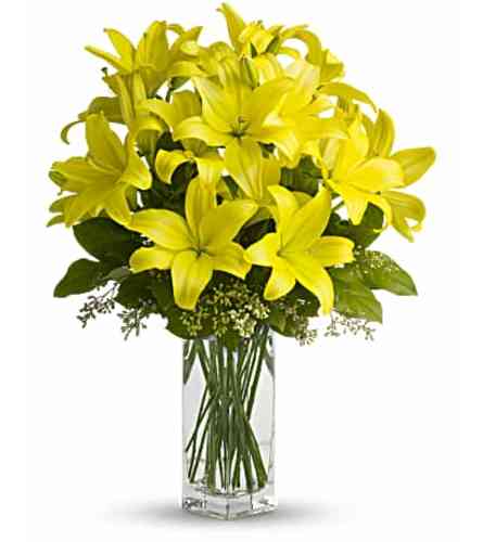 Sunny Lilies