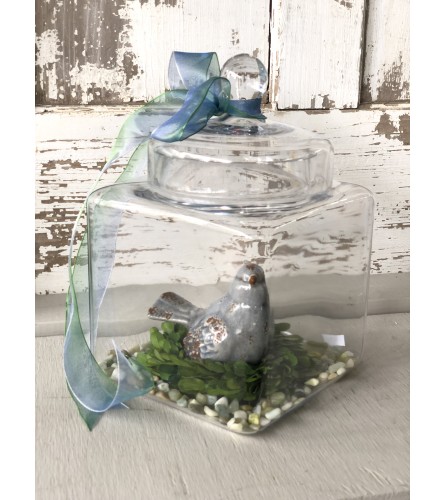 Blue Bird Nesting in Apothecary Jar