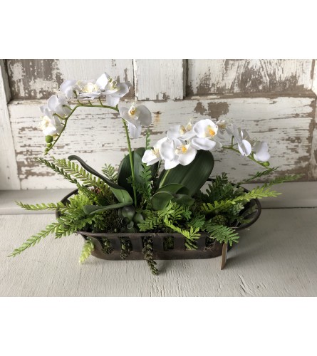 Orchid Centerpiece