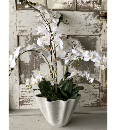 Extra Large Faux Orchid